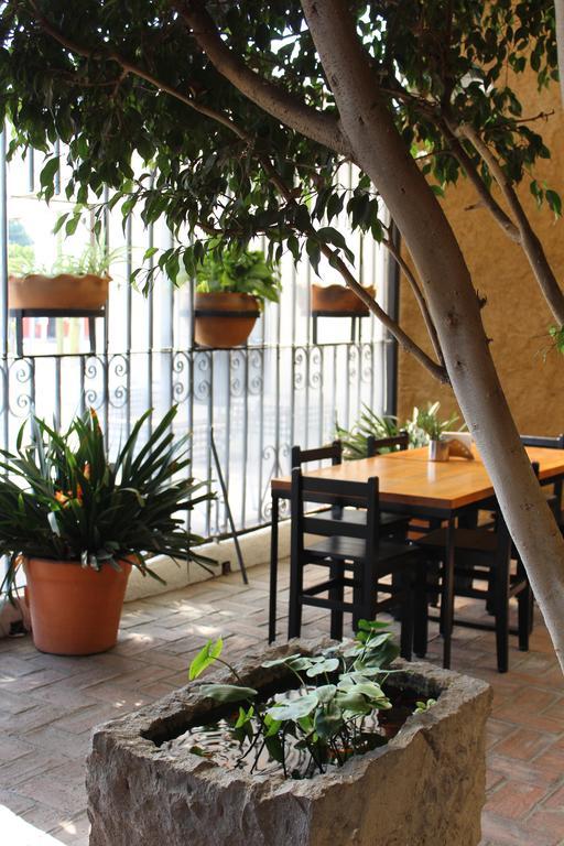 Hotel Rustiko Oaxaca المظهر الخارجي الصورة